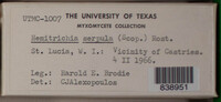Image Associated With the Occurrence